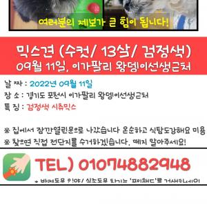 송우리 이가팔리 꼭좀 봐주세요ㅠ