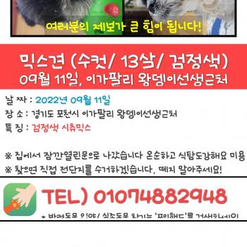 송우리 이가팔리 꼭좀 봐주세요ㅠ