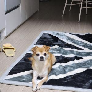 제발 연락부탁드립니다