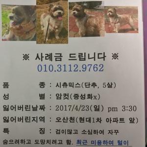 소중한 아이 찾습니다.