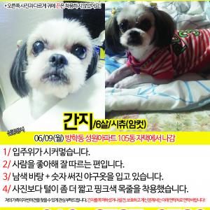 저희간지 찾아요 ㅠㅠㅠㅠㅠ 한번만 봐주세요 ㅠㅠ