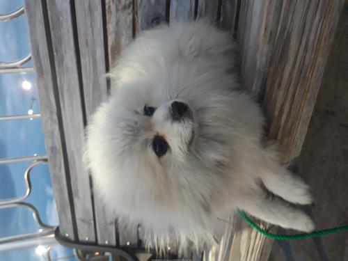 포메 임시 보호중입니다.