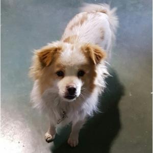 광명시 옥길동 스피드돔근처 걱정해주셔서 감사합니다