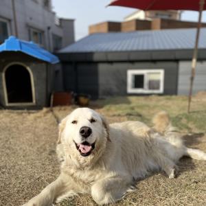 성남시 수정구 신촌동 인근