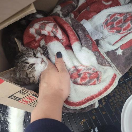 5개월된 여자아이예요