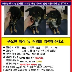 강아지를 찾습니다.