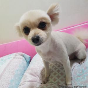 우리 루비찾습니다